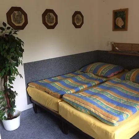 Pensionat Lucni Poděbrady