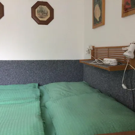 Pensionat Lucni *